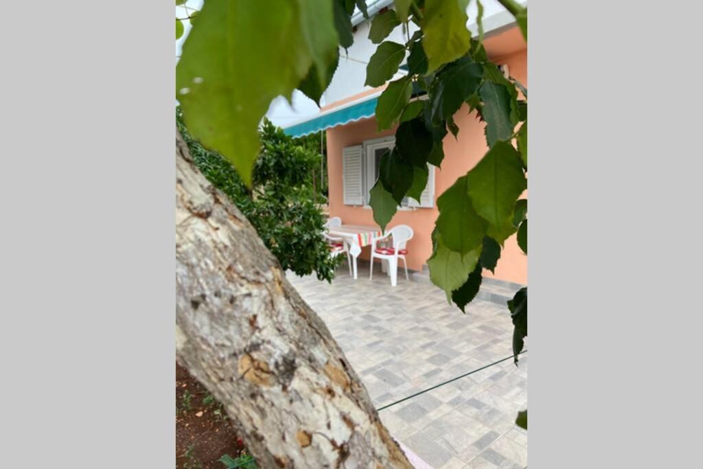 Manuel Apartment Korčula Exterior foto